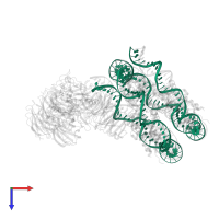 DNA (147-MER) in PDB entry 6pwv, assembly 1, top view.