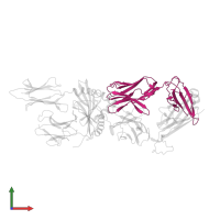 Ig-like domain-containing protein in PDB entry 6px6, assembly 1, front view.