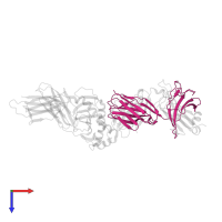 Ig-like domain-containing protein in PDB entry 6px6, assembly 1, top view.