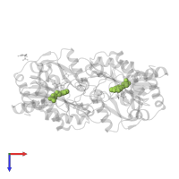 4'-DEOXY-4'-AMINOPYRIDOXAL-5'-PHOSPHATE in PDB entry 6q1s, assembly 2, top view.