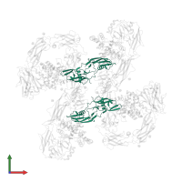 Neurturin in PDB entry 6q2r, assembly 1, front view.