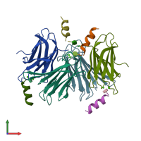 PDB entry 6q6x coloured by chain, front view.