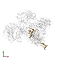 NADH:ubiquinone oxidoreductase core subunit S8 in PDB entry 6q9d, assembly 1, front view.