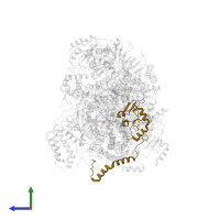 NADH:ubiquinone oxidoreductase core subunit S8 in PDB entry 6q9d, assembly 1, side view.