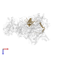 NADH:ubiquinone oxidoreductase core subunit S8 in PDB entry 6q9d, assembly 1, top view.