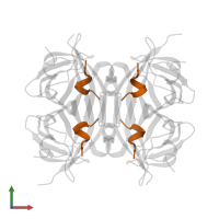 Strep-tag II peptide in PDB entry 6qbb, assembly 1, front view.