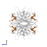 Strep-tag II peptide in PDB entry 6qbb, assembly 1, side view.