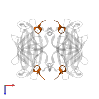 Strep-tag II peptide in PDB entry 6qbb, assembly 1, top view.