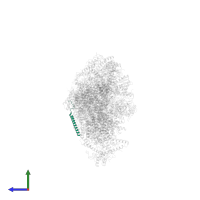 NADH dehydrogenase [ubiquinone] 1 subunit C1, mitochondrial in PDB entry 6qc6, assembly 1, side view.