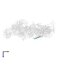 NADH dehydrogenase [ubiquinone] 1 subunit C1, mitochondrial in PDB entry 6qc6, assembly 1, top view.