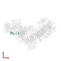 NADH dehydrogenase [ubiquinone] iron-sulfur protein 6, mitochondrial in PDB entry 6qc6, assembly 1, front view.