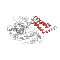 The deposited structure of PDB entry 6qc7 contains 1 copy of Pfam domain PF10589 (NADH-ubiquinone oxidoreductase-F iron-sulfur binding region) in NADH dehydrogenase [ubiquinone] flavoprotein 1, mitochondrial. Showing 1 copy in chain A [auth V1].