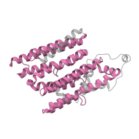 The deposited structure of PDB entry 6qc7 contains 1 copy of Pfam domain PF00361 (Proton-conducting membrane transporter) in NADH-ubiquinone oxidoreductase chain 2. Showing 1 copy in chain X [auth D2].