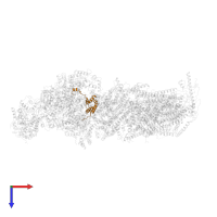 NADH dehydrogenase [ubiquinone] 1 alpha subcomplex subunit 6 in PDB entry 6qc7, assembly 1, top view.