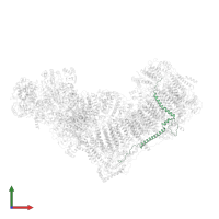 NADH:ubiquinone oxidoreductase subunit B5 in PDB entry 6qc7, assembly 1, front view.