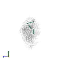 NADH dehydrogenase [ubiquinone] 1 beta subcomplex subunit 4 in PDB entry 6qc7, assembly 1, side view.