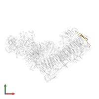 NADH:ubiquinone oxidoreductase subunit B2 in PDB entry 6qc7, assembly 1, front view.