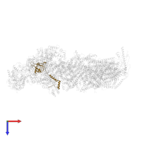 NDUFS8 in PDB entry 6qc7, assembly 1, top view.