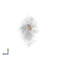 NADH dehydrogenase [ubiquinone] 1 alpha subcomplex subunit 6 in PDB entry 6qc8, assembly 1, side view.