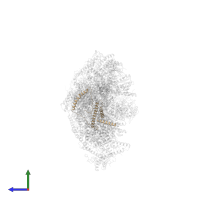 NADH:ubiquinone oxidoreductase subunit B10 in PDB entry 6qc8, assembly 1, side view.