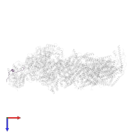 NADH:ubiquinone oxidoreductase subunit V3 in PDB entry 6qc8, assembly 1, top view.