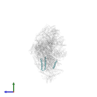 NADH-ubiquinone oxidoreductase chain 3 in PDB entry 6qca, assembly 1, side view.