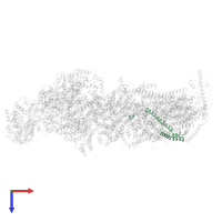 NADH:ubiquinone oxidoreductase subunit B5 in PDB entry 6qca, assembly 1, top view.