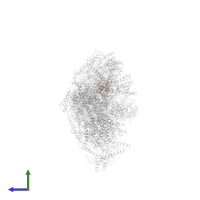 NADH dehydrogenase [ubiquinone] flavoprotein 2, mitochondrial in PDB entry 6qca, assembly 1, side view.