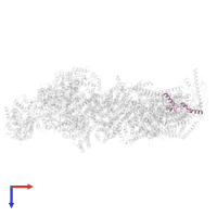 NADH:ubiquinone oxidoreductase subunit B3 in PDB entry 6qca, assembly 1, top view.