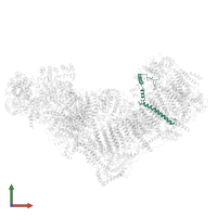 NADH dehydrogenase [ubiquinone] 1 beta subcomplex subunit 4 in PDB entry 6qca, assembly 1, front view.