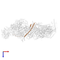 NDUFA13 in PDB entry 6qca, assembly 1, top view.