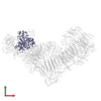 NADH:ubiquinone oxidoreductase core subunit S1 in PDB entry 6qca, assembly 1, front view.