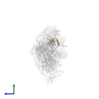 NADH dehydrogenase [ubiquinone] 1 beta subcomplex subunit 8, mitochondrial in PDB entry 6qca, assembly 1, side view.