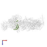 NADH dehydrogenase [ubiquinone] iron-sulfur protein 3, mitochondrial in PDB entry 6qca, assembly 1, top view.