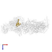 NDUFS7 in PDB entry 6qca, assembly 1, top view.