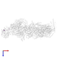 NDUFV3 in PDB entry 6qca, assembly 1, top view.