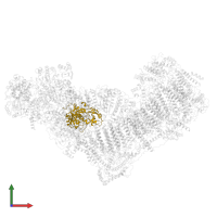 NADH:ubiquinone oxidoreductase subunit A9 in PDB entry 6qcf, assembly 1, front view.