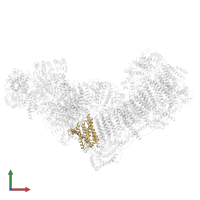 NADH-ubiquinone oxidoreductase chain 1 in PDB entry 6qcf, assembly 1, front view.