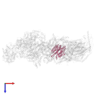 NADH-ubiquinone oxidoreductase chain 2 in PDB entry 6qcf, assembly 1, top view.