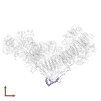 NADH dehydrogenase [ubiquinone] 1 alpha subcomplex subunit 8 in PDB entry 6qcf, assembly 1, front view.