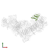 NADH:ubiquinone oxidoreductase subunit B9 in PDB entry 6qcf, assembly 1, front view.