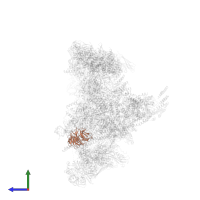 U5 small nuclear ribonucleoprotein 40 kDa protein in PDB entry 6qdv, assembly 1, side view.