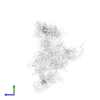 Small nuclear ribonucleoprotein-associated proteins B and B' in PDB entry 6qdv, assembly 1, side view.