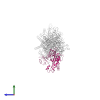 Tubulin-Tyrosine Ligase in PDB entry 6qtn, assembly 1, side view.