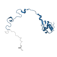 The deposited structure of PDB entry 6qul contains 1 copy of Pfam domain PF00828 (Ribosomal proteins 50S-L15, 50S-L18e, 60S-L27A) in Large ribosomal subunit protein uL15. Showing 1 copy in chain L [auth M].