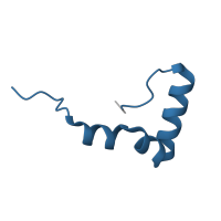 The deposited structure of PDB entry 6qul contains 1 copy of Pfam domain PF00468 (Ribosomal protein L34) in Large ribosomal subunit protein bL34. Showing 1 copy in chain CA [auth d].