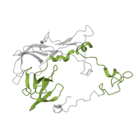 The deposited structure of PDB entry 6qul contains 1 copy of Pfam domain PF03947 (Ribosomal Proteins L2, C-terminal domain) in Large ribosomal subunit protein uL2. Showing 1 copy in chain D [auth C].
