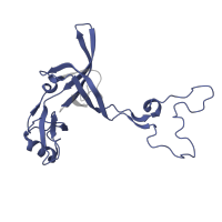The deposited structure of PDB entry 6qul contains 1 copy of Pfam domain PF00297 (Ribosomal protein L3) in Large ribosomal subunit protein uL3. Showing 1 copy in chain E [auth D].
