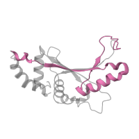 The deposited structure of PDB entry 6qul contains 1 copy of Pfam domain PF00281 (Ribosomal protein L5) in Large ribosomal subunit protein uL5. Showing 1 copy in chain G [auth F].