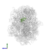 Large ribosomal subunit protein bL25 in PDB entry 6qul, assembly 1, side view.